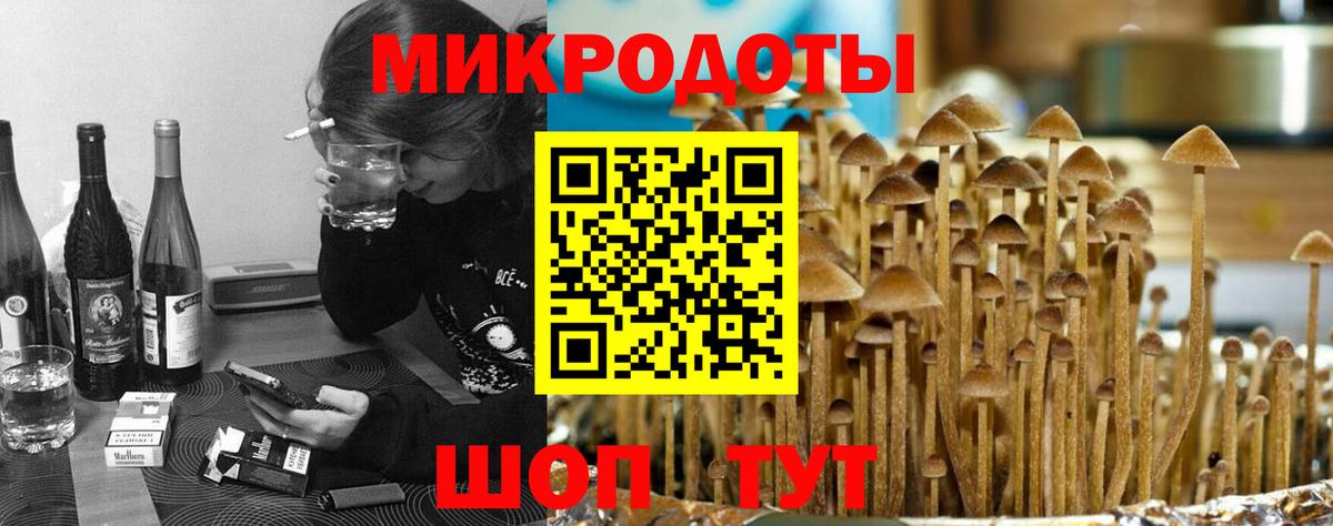 Галлюциногенные грибы мицелий  Галлюциногенные грибы Psilocybe  магазин продажи наркотиков  Кузнецк  Вход с VPN 